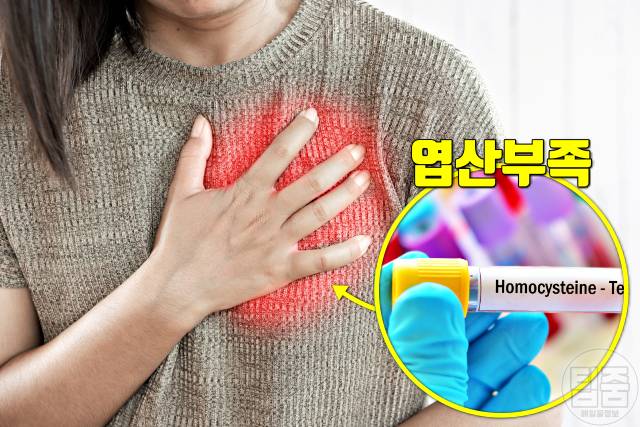 엽산 부족 증상 엽산효능 심장