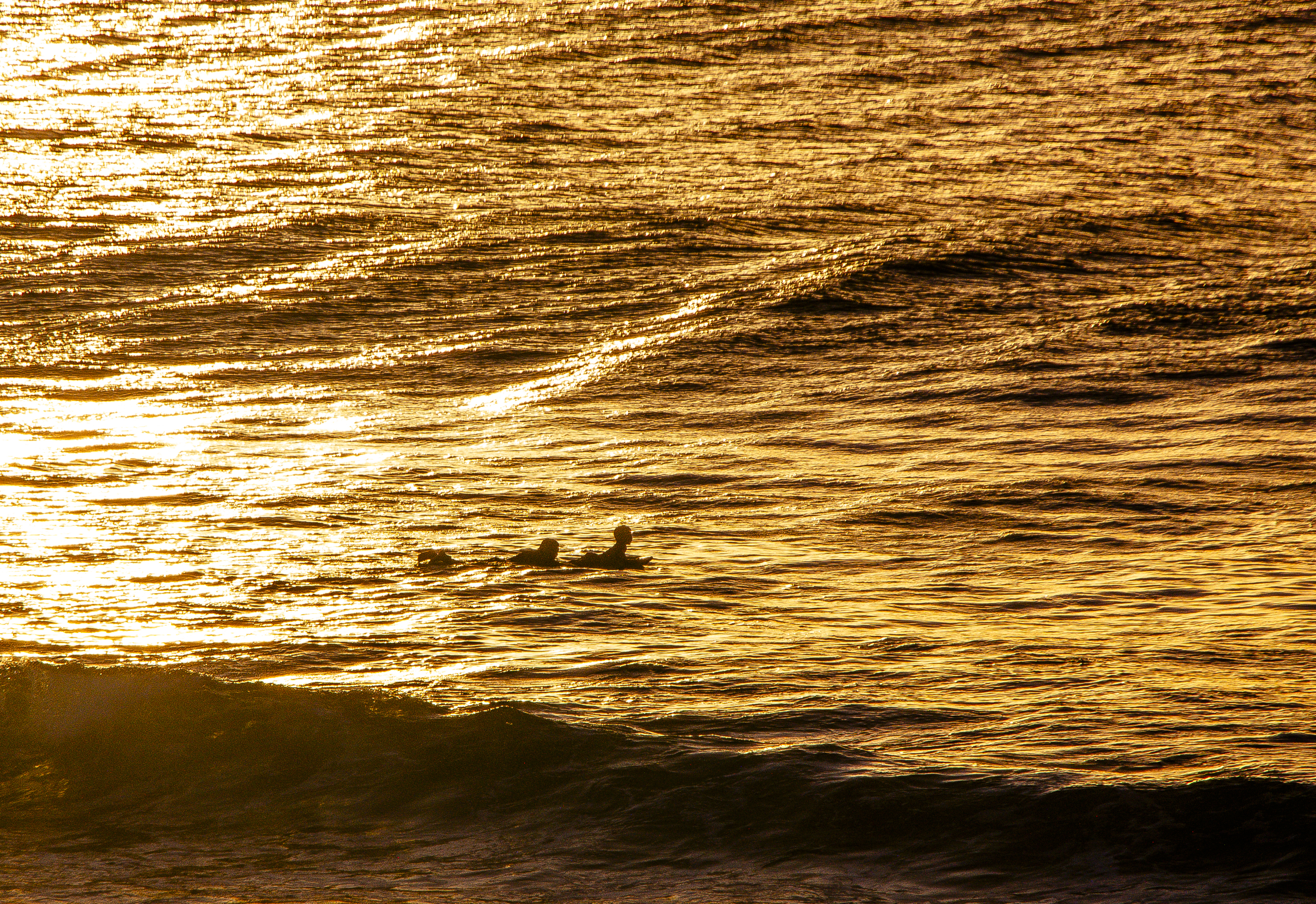 아이와 서핑하기