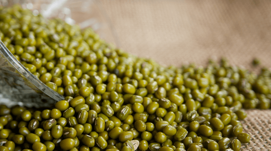 녹두와 녹두로 만든 음식 사진 - 78