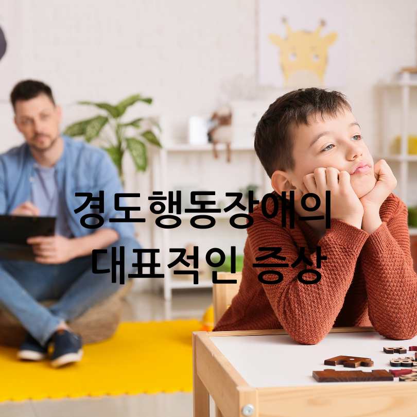 경도행동장애 증상, 원인, 관리법