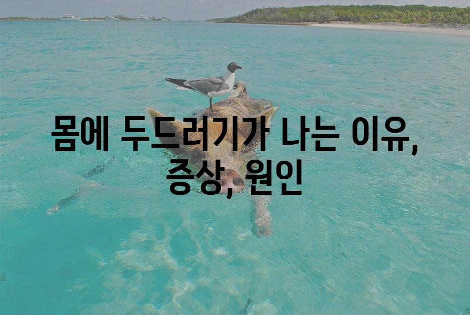 샘플 (1)