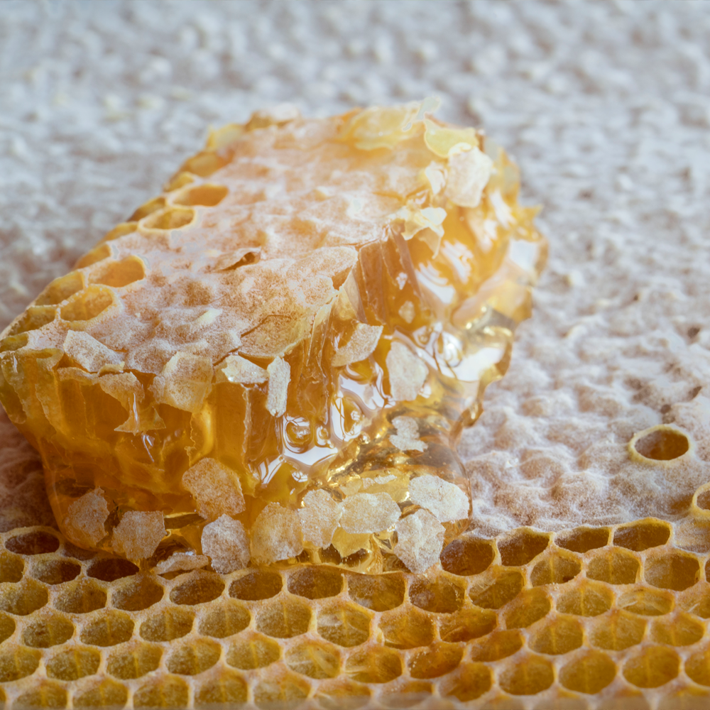 2025 청원생명축제&amp;#44; 가족 농촌체험