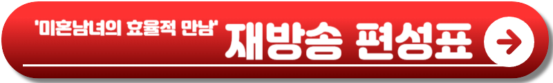 미혼남녀의 효율적 만남