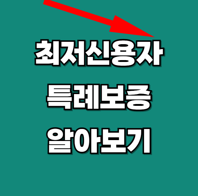 최저신용자-특례보증-및-정책서민금융