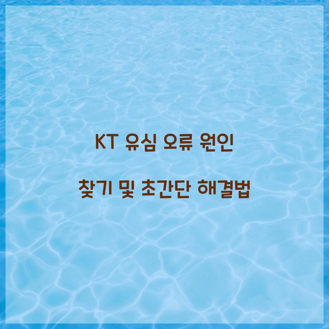 KT 유심 오류