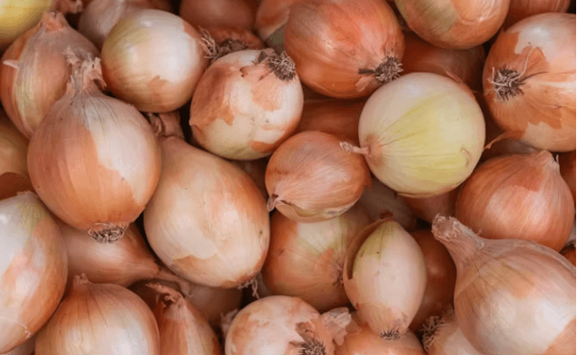 혈액순환에 좋은 음식 6가지와 생활습관 총정리