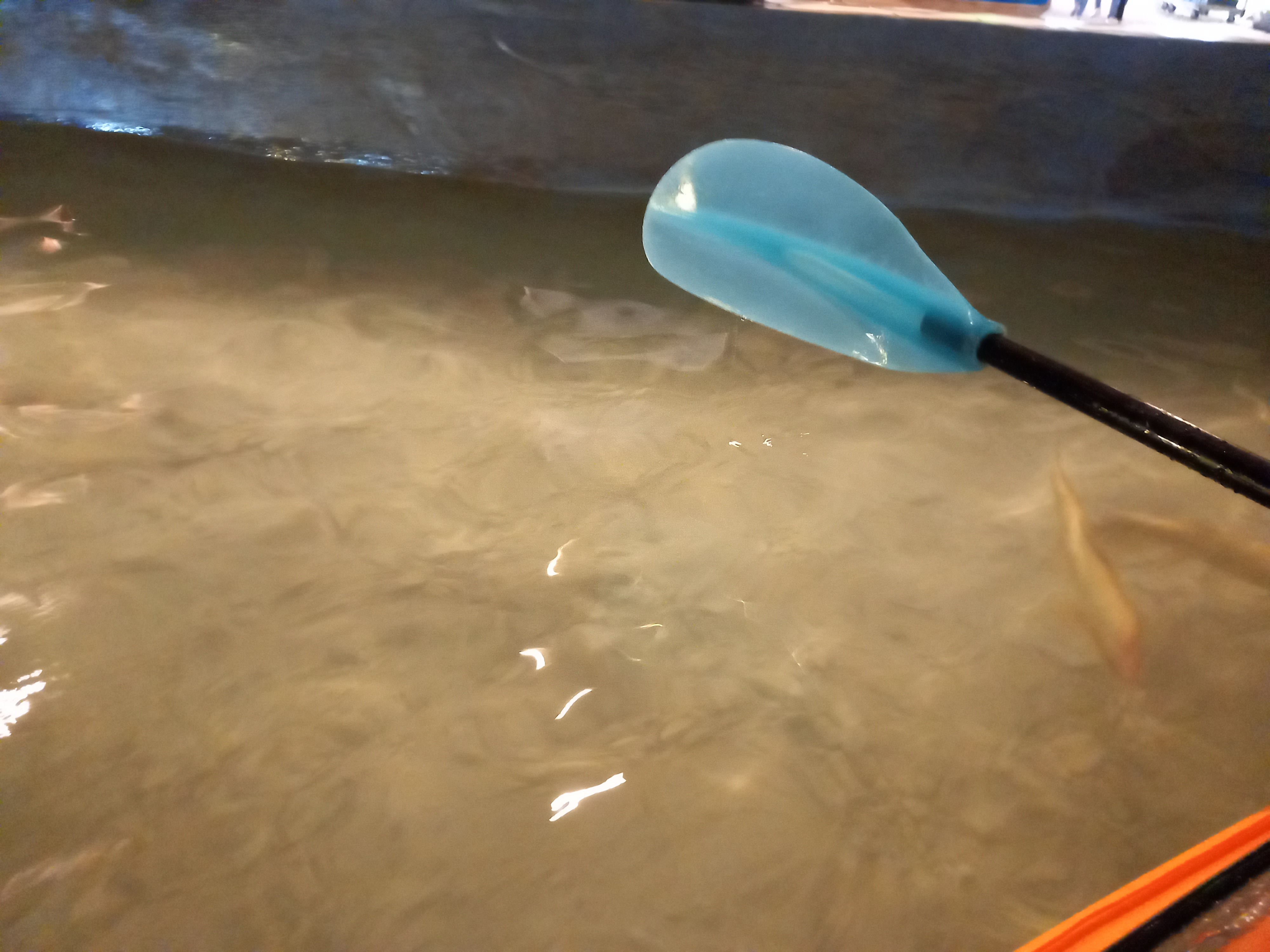 ์ถฉ์ฃผ ํ์ฅ๋๊ตด