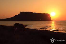 2023 해돋이 일출시간 정보