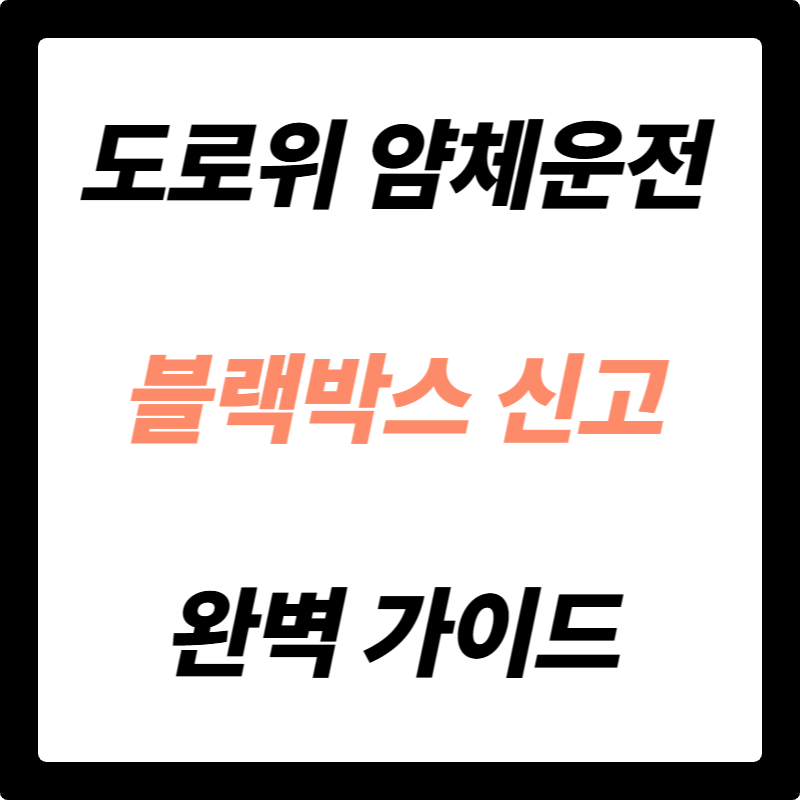 블랙박스 신고, 도로 위 얌체 운전 5가지 유형 완벽 해부