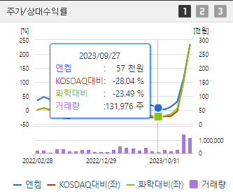 엔켐 주가 전망 분석해보기