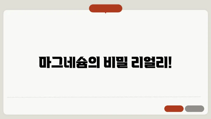 마그네슘의 건강 개선