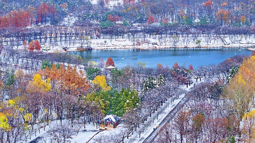인천 겨울 여행 명소, 인천대공원·소래습지·계양산·강화고려산