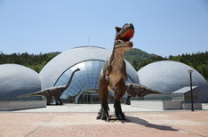 보성 다향대축제 보성 녹차축제