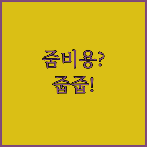 비영리 기관의 줌 비용 절감을 위한 ..