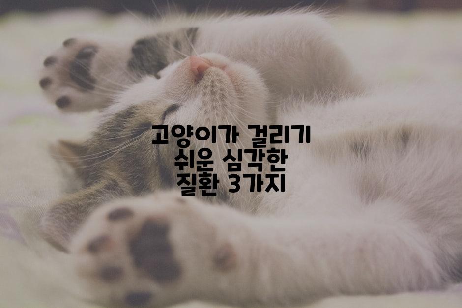 고양이가 걸리기 쉬운 심각한 질환 3가지