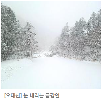 오대산 단풍