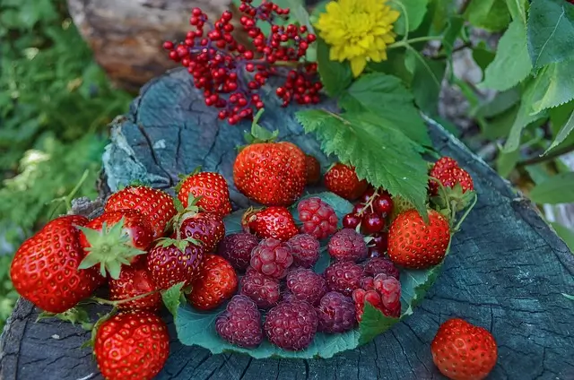 berries-5597501_640