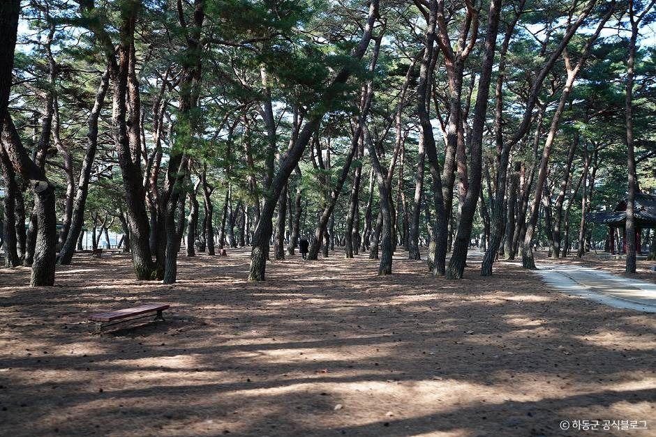 하동 가볼만한곳 베스트10