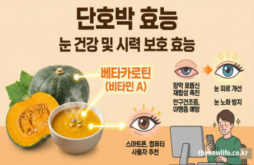 단호박 효능 중 베타카로틴 비타민A 전환을 통한 눈 건강 시력 보호 및 안구건조증 예방 효과 요약