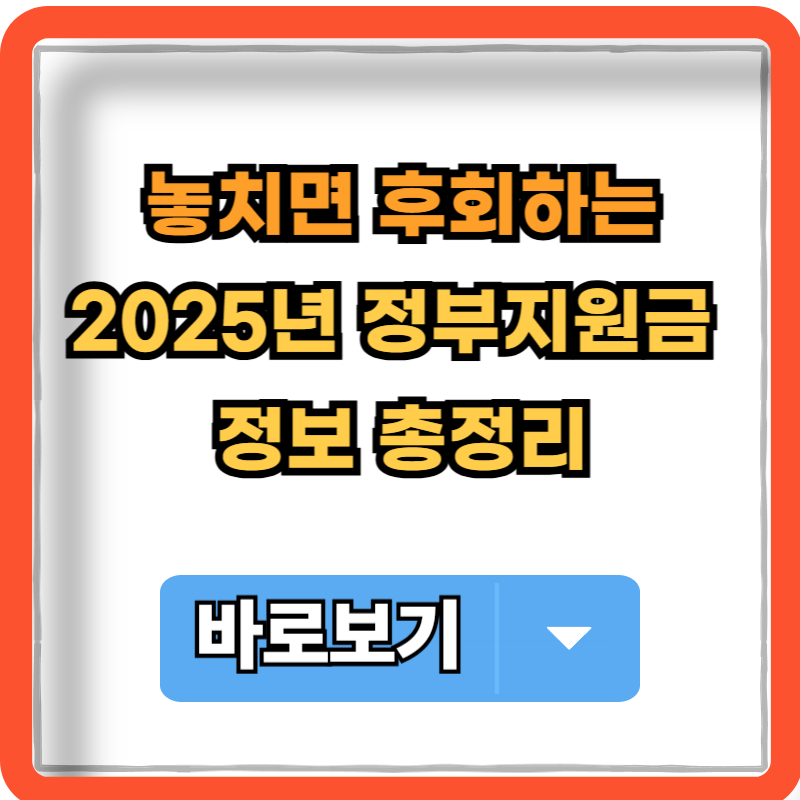 2025-정부지원금-정보-총정리
