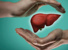 간이 좋지 않을 때