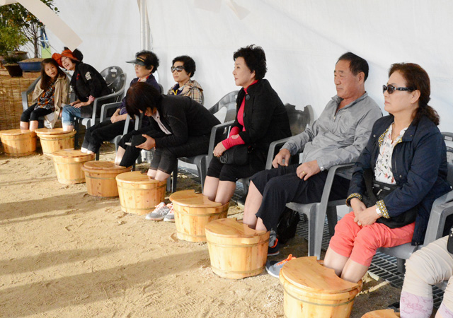 증평 인삼골 축제