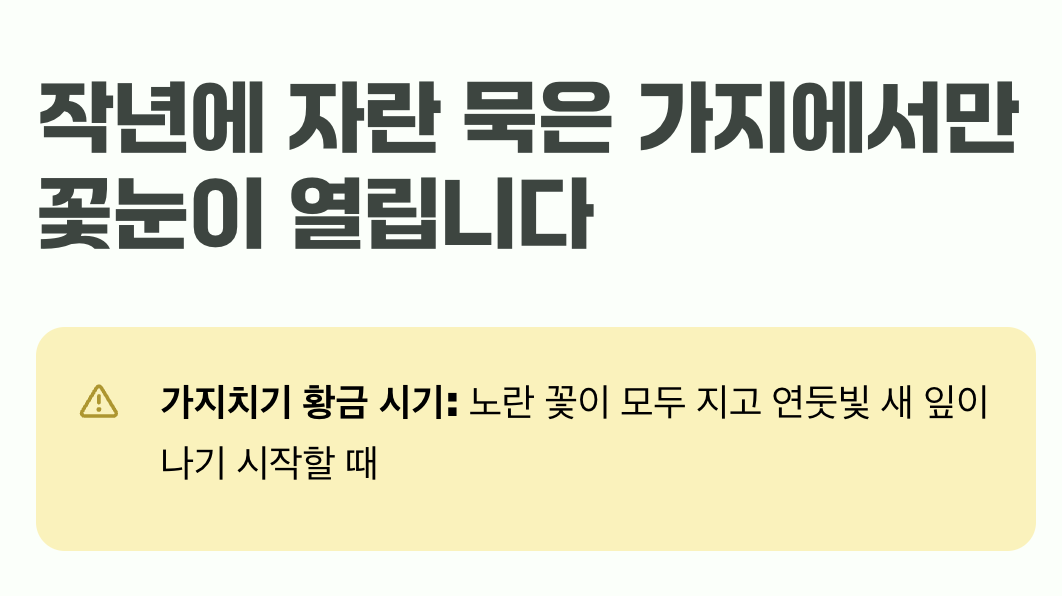 풍성한 꽃을 위한 단 하나의 비밀, 가지치기 시기