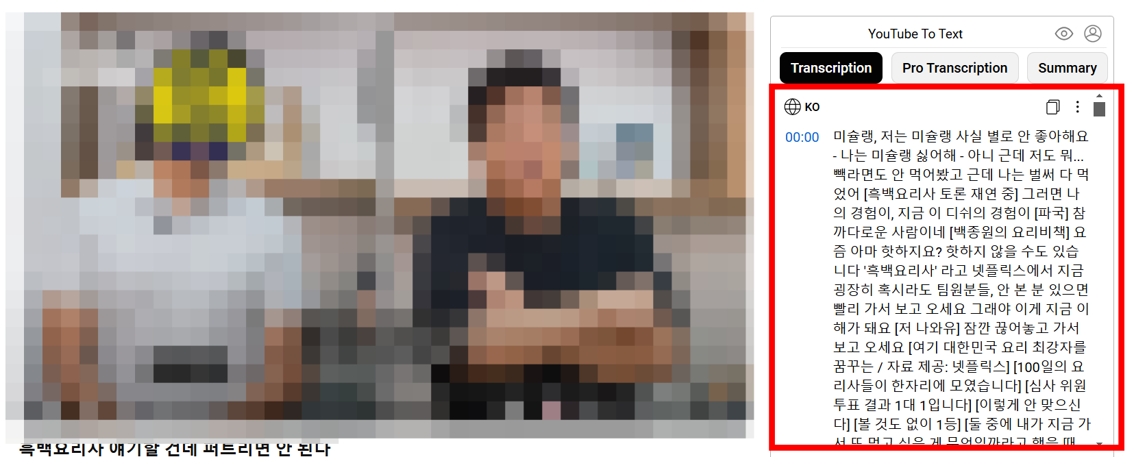 유튜브 스크립트 실행 화면