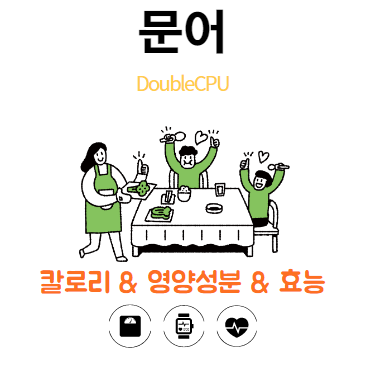 문어에대해 살펴보자.