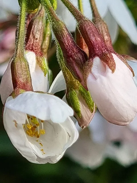 봄 이미지 일러스트 따뜻한 봄 꽃 예쁜 이미지_6