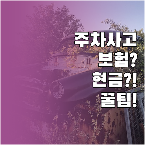 주차장 사고 보험 처리 vs 현금 합..