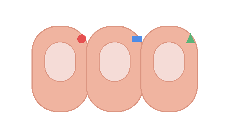 손톱 영양 총정리: 단백질&middot;철분&middot;아연&middot;비오틴이 손톱에 미치는 영향과 결핍 신호