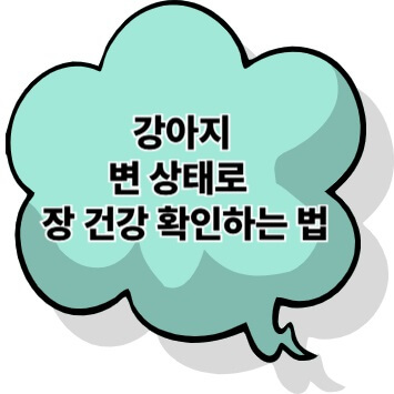강아지 변 상태로 알아보는 장 건강