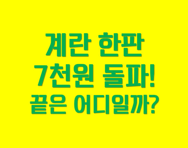 「계란 한판 7천원 돌파」 끝은 어디일까?