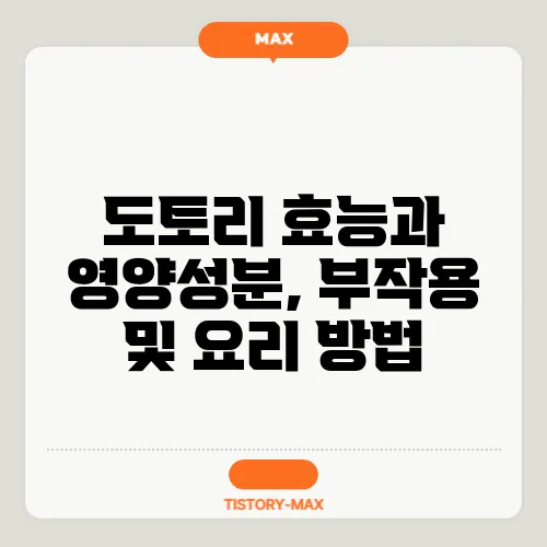 도토리 효능과 영양성분, 부작용 및 요리 방법