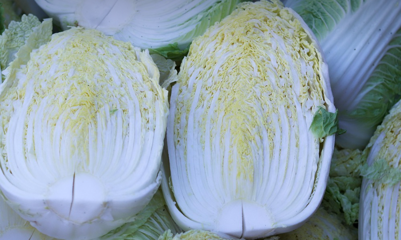 반으로 쪼개진 배추 사진