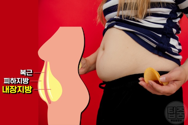 뇌졸중 환자 공통점 복부비만 내장지방