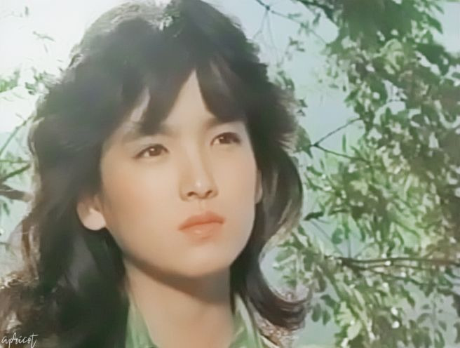 조용원 배우 나이 프로필 학력 고향: 40년 은둔 뒤에 숨겨진 수백억 자산가와 도쿄대 박사의 반전 실체