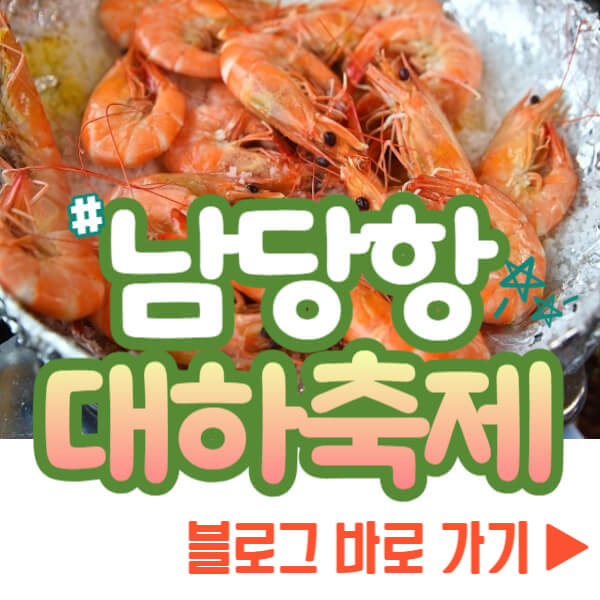 홍상 남당항 대하축제 블로그 보기