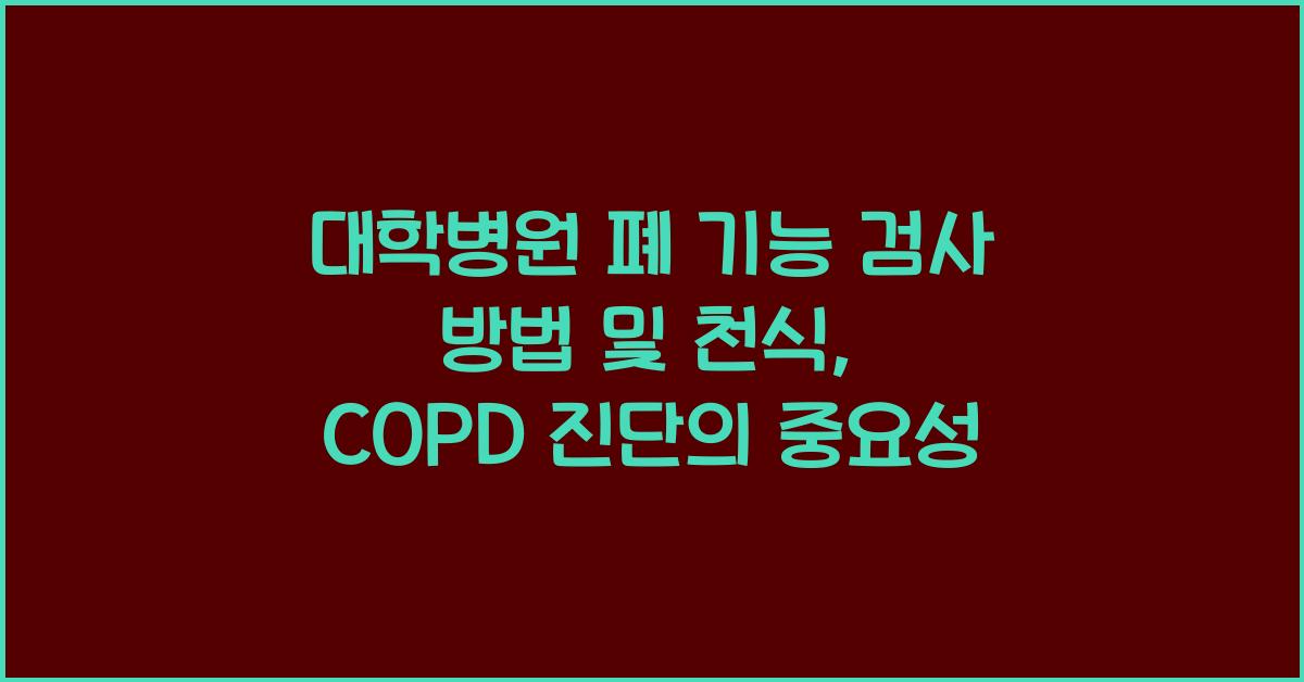 대학병원 폐 기능 검사 방법 및 천식 만성 폐쇄성 폐질환 진단 연관성