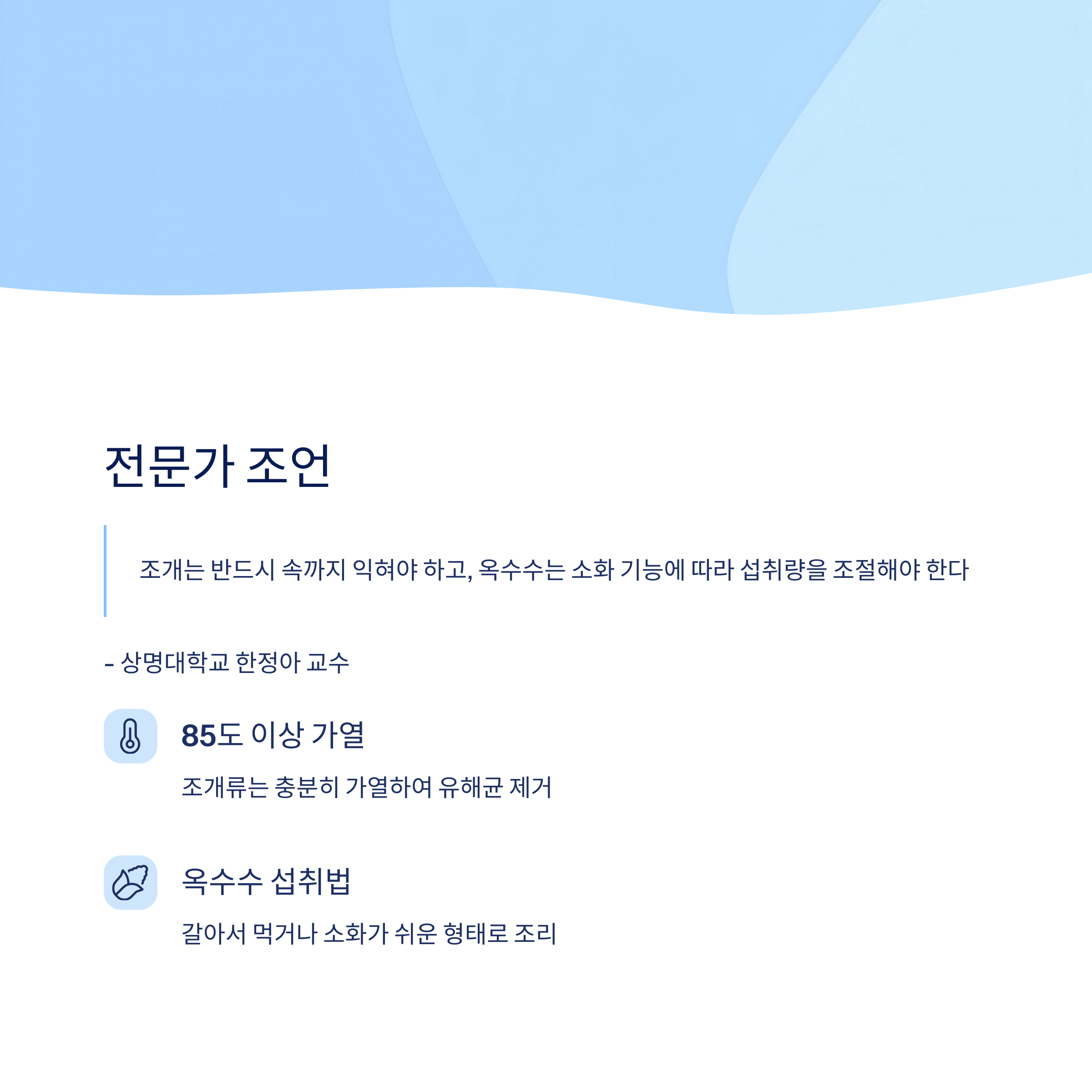 전문가 조언
