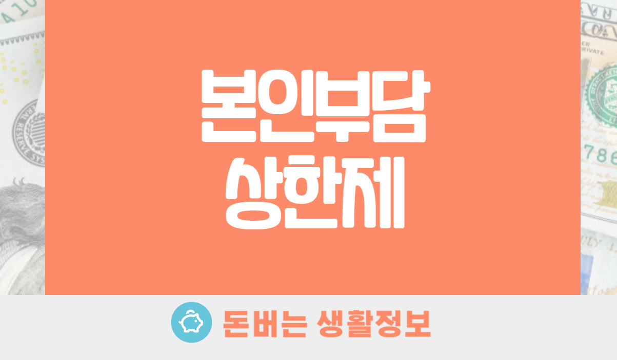 본인부담상한제 건강보험료 환급