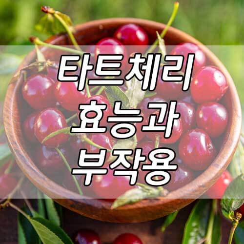 타트체리 효능과 부작용, 과일계의 다이아몬드라 불리는 타트체리 총정리!