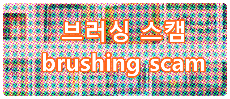 브러싱(brushing) ,브러싱 스캠(brushing scam)