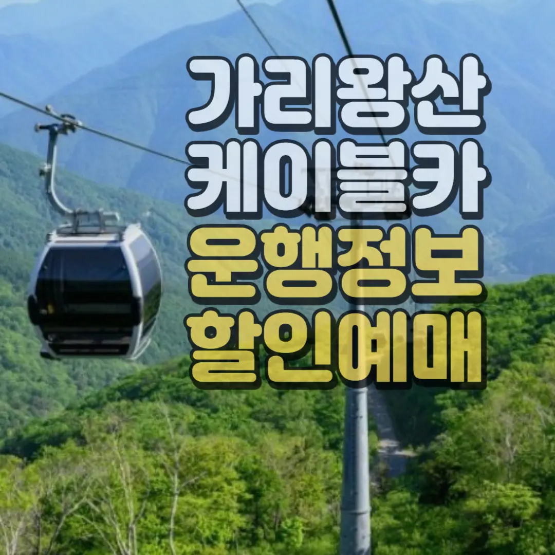 가리왕산케이블카 정보