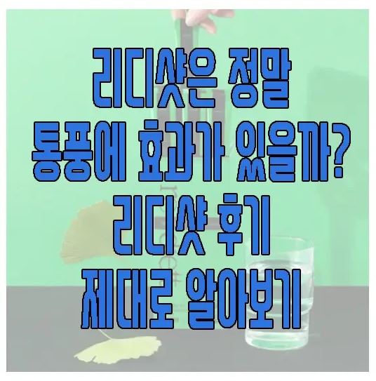 리디샷에 관한 글 보러 가기 링크 사진
