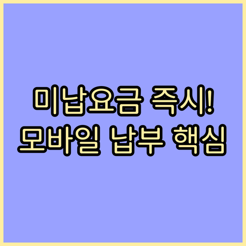 하이패스 미납 통행료 모바일 즉시 납..