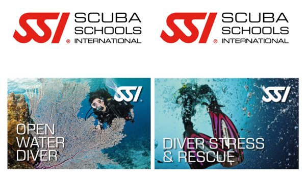 스쿠버 다이빙 자격증 종류