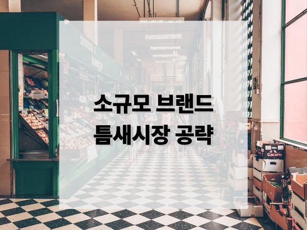 소규모 브랜드의 틈새시장 공략 성공 사례와 전략 분석