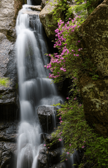 광양시 어치계곡
